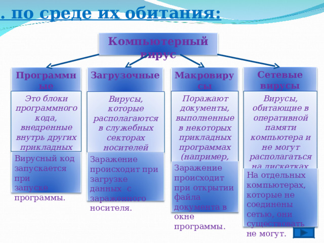 1. по среде их обитания: Компьютерный вирус Сетевые вирусы Макровирусы Загрузочные Программные (файловые) Вирусы, обитающие в оперативной памяти компьютера и не могут располагаться на дискетках . Это блоки программного кода, внедренные внутрь других прикладных программ.  Поражают документы, выполненные в некоторых прикладных программах (например, Word).  Вирусы, которые располагаются в служебных секторах носителей данных на (гибких и жестких дисках).  Вирусный код запускается при запуске программы. Заражение происходит при загрузке данных с зараженного носителя. Заражение происходит при открытии файла документа в окне программы. На отдельных компьютерах, которые не соединены сетью, они существовать не могут. 