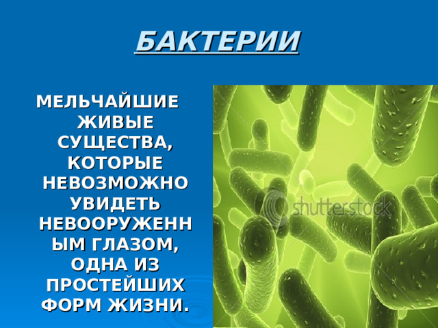 БАКТЕРИИ МЕЛЬЧАЙШИЕ ЖИВЫЕ СУЩЕСТВА, КОТОРЫЕ НЕВОЗМОЖНО УВИДЕТЬ НЕВООРУЖЕННЫМ ГЛАЗОМ, ОДНА ИЗ ПРОСТЕЙШИХ ФОРМ ЖИЗНИ. 