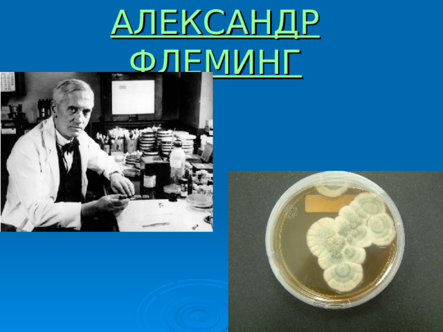 АЛЕКСАНДР ФЛЕМИНГ 