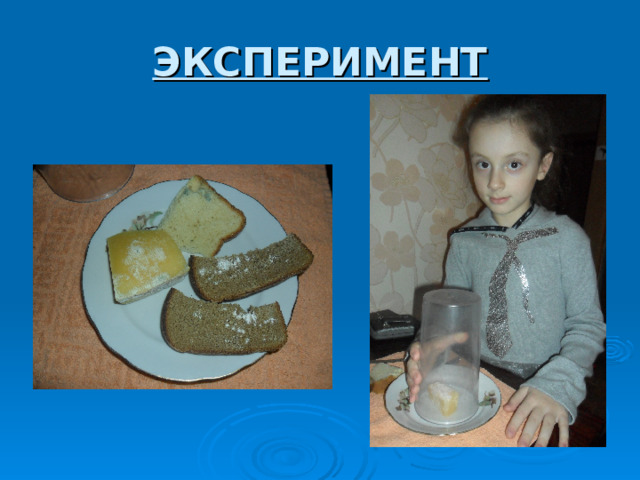 ЭКСПЕРИМЕНТ 