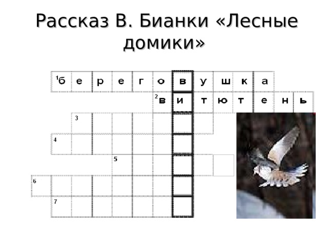 Рассказ В. Бианки «Лесные домики» 
