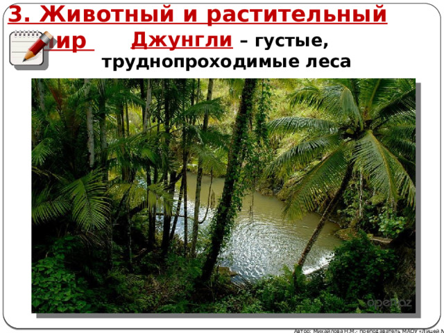 3. Животный и растительный мир Джунгли  – густые, труднопроходимые леса Автор: Михайлова Н.М.- преподаватель МАОУ «Лицей № 21» 