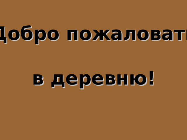 Добро пожаловать  в деревню! 