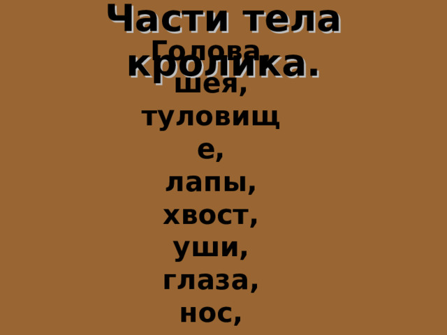 Части тела кролика. Голова, шея, туловище, лапы, хвост, уши, глаза, нос, рот.  