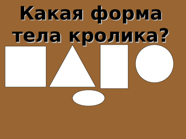 Какая форма тела кролика? 