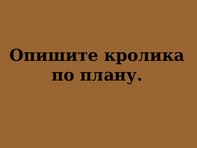 Опишите кролика по плану. 