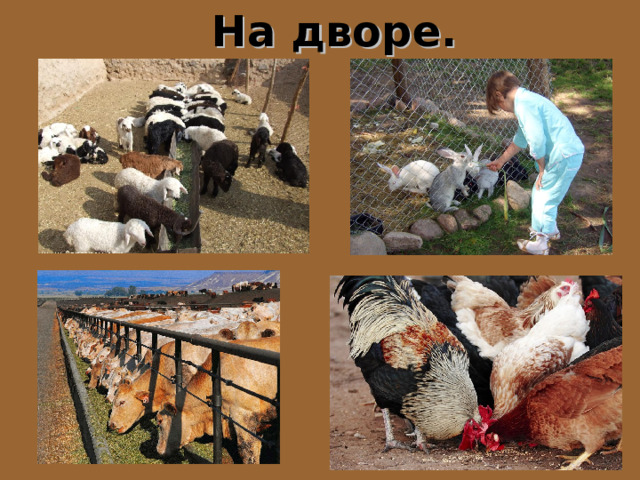 На дворе. 