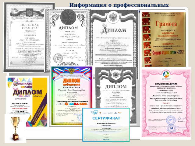 Информация о профессиональных достижениях  