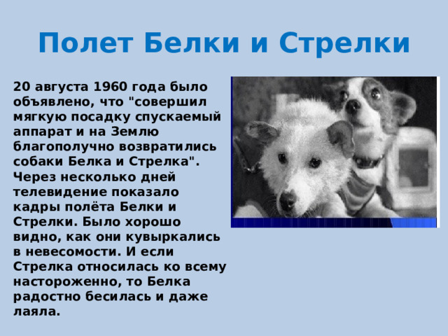 Полет Белки и Стрелки 20 августа 1960 года было объявлено, что 