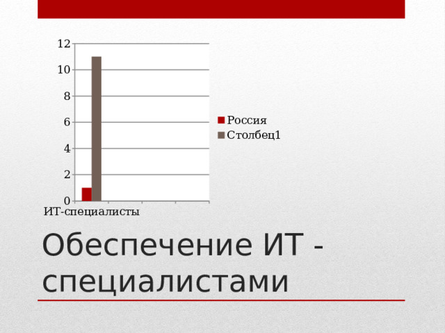 Обеспечение ИТ - специалистами 