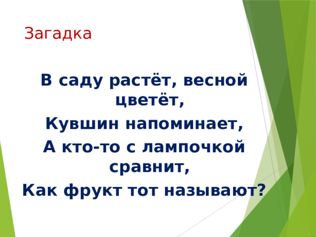 Загадка В саду растёт, весной цветёт, Кувшин напоминает, А кто-то с лампочкой сравнит, Как фрукт тот называют? 