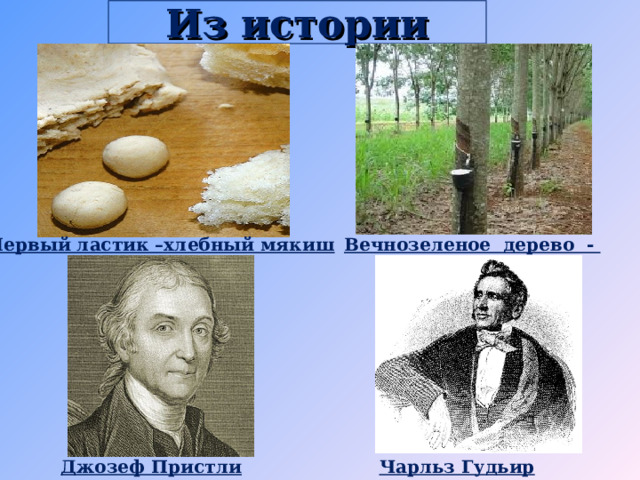 Из истории Первый ластик –хлебный мякиш Вечнозеленое дерево - гевея Джозеф Пристли Чарльз Гудьир 