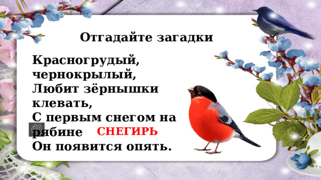 Отгадайте загадки Красногрудый, чернокрылый,  Любит зёрнышки клевать,  С первым снегом на рябине  Он появится опять. СНЕГИРЬ  
