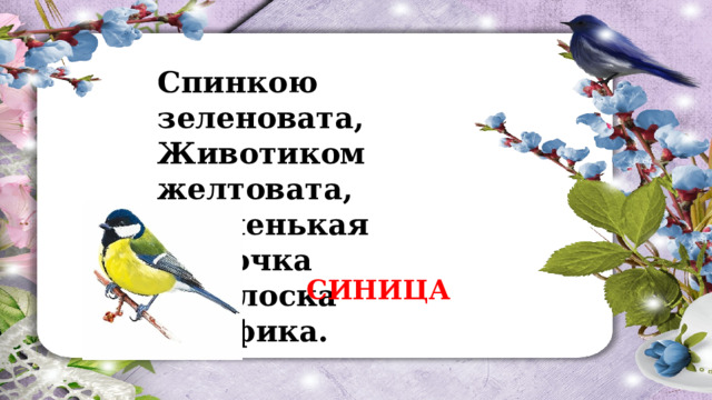Спинкою зеленовата,  Животиком желтовата,  Чёрненькая шапочка  И полоска шарфика. СИНИЦА 