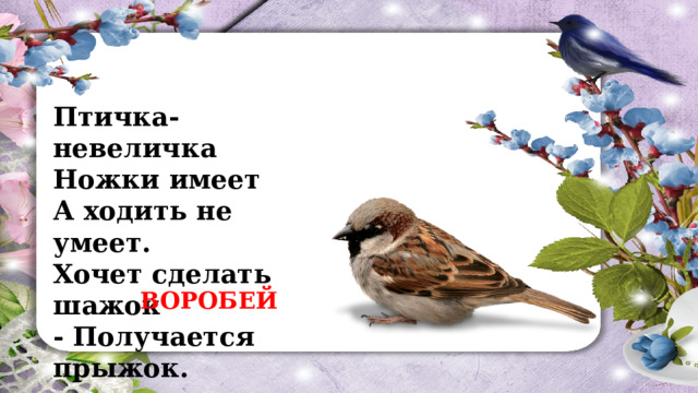 Птичка-невеличка  Ножки имеет  А ходить не умеет.  Хочет сделать шажок  - Получается прыжок. ВОРОБЕЙ 