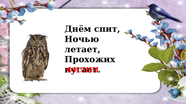 Днём спит,  Ночью летает,  Прохожих пугает . ФИЛИН 