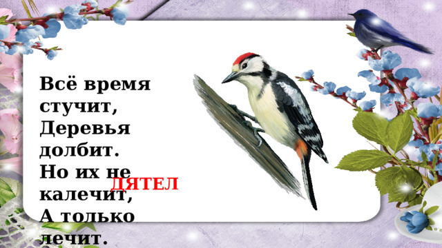 Всё время стучит,  Деревья долбит.  Но их не калечит,  А только лечит. ДЯТЕЛ 