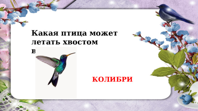 Какая птица может летать хвостом вперед ? КОЛИБРИ 