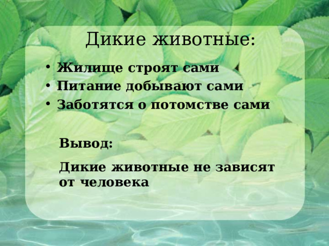Дикие животные: Жилище строят сами Питание добывают сами Заботятся о потомстве сами  Вывод: Дикие животные не зависят от человека 
