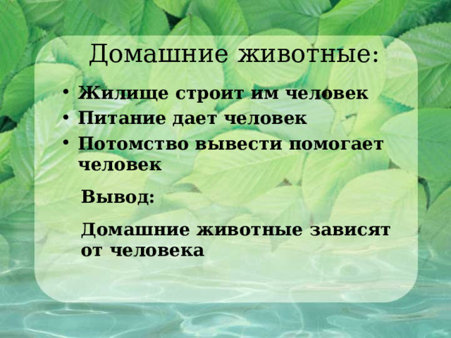 Домашние животные: Жилище строит им человек Питание дает человек Потомство вывести помогает человек Вывод: Домашние животные зависят от человека 