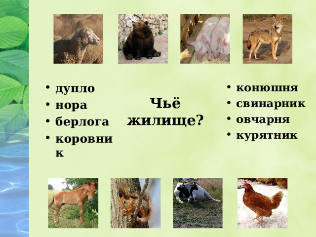 дупло нора берлога коровник конюшня свинарник овчарня курятник Чьё жилище? 
