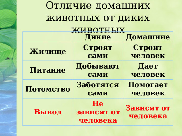 Отличие домашних животных от диких животных Дикие Жилище Домашние Строят сами Питание Добывают сами Строит человек Потомство Дает человек Заботятся сами Вывод Не зависят от человека Помогает человек Зависят от человека 