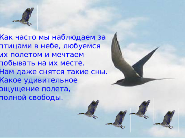 Как часто мы наблюдаем за птицами в небе, любуемся их полетом и мечтаем побывать на их месте. Нам даже снятся такие сны. Какое удивительное ощущение полета, полной свободы. 