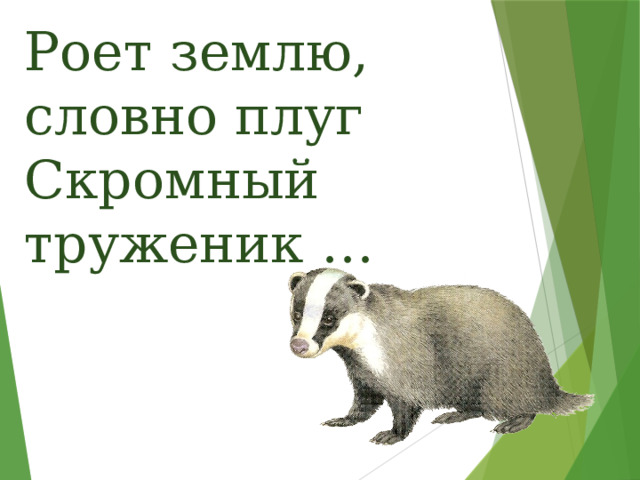 Роет землю, словно плуг  Скромный труженик … 