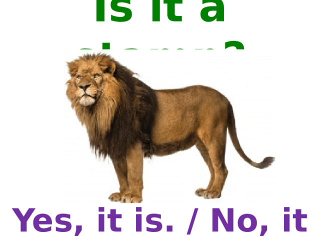 Is it a stamp? Yes, it is. / No, it is not. 