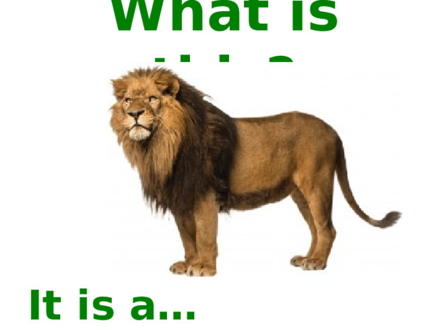 What is this? It is a… 
