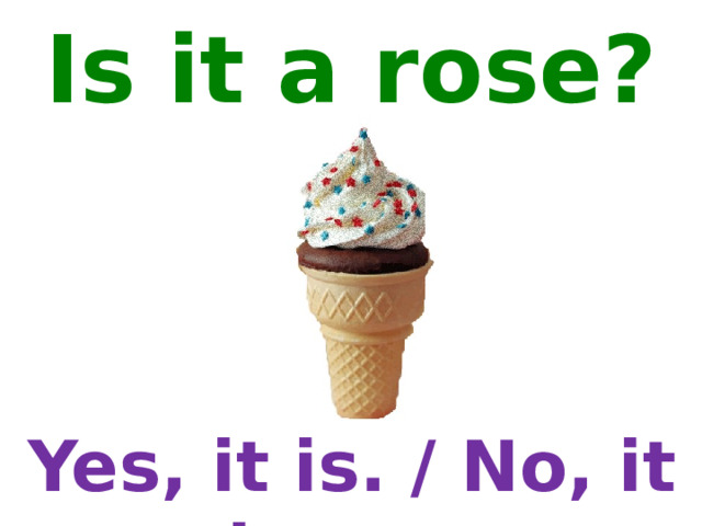 Is it a rose? Yes, it is. / No, it is not. 