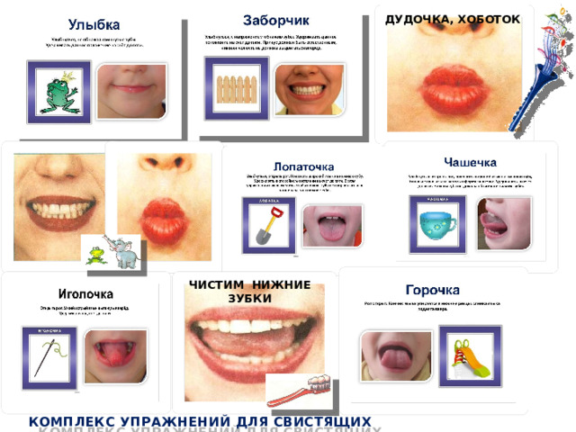 ДУДОЧКА, ХОБОТОК ЧИСТИМ НИЖНИЕ ЗУБКИ КОМПЛЕКС УПРАЖНЕНИЙ ДЛЯ СВИСТЯЩИХ  