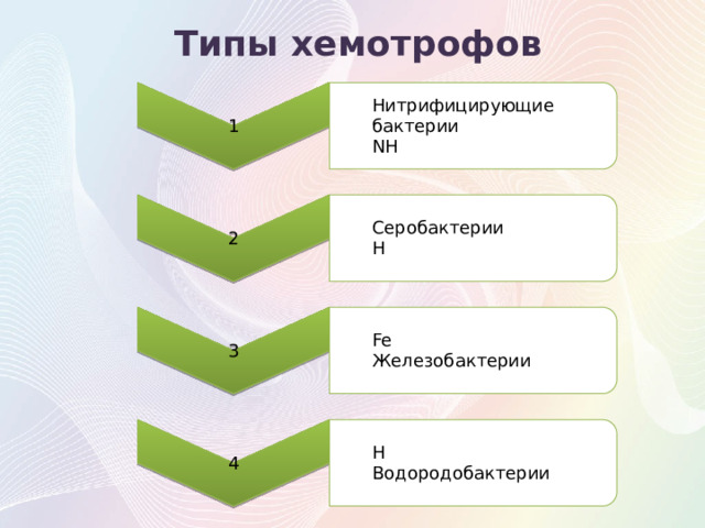 1 Нитрифицирующие бактерии 2 NH Серобактерии 3 H Fe 4 Железобактерии H Водородобактерии Типы хемотрофов Используют энергию выделяющуюся при окислении молекулярного водорода 17 