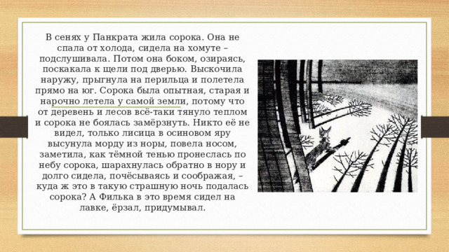В сенях у Панкрата жила сорока. Она не спала от холода, сидела на хомуте – подслушивала. Потом она боком, озираясь, поскакала к щели под дверью. Выскочила наружу, прыгнула на перильца и полетела прямо на юг. Сорока была опытная, старая и нарочно летела у самой земли, потому что от деревень и лесов всё-таки тянуло теплом и сорока не боялась замёрзнуть. Никто её не видел, только лисица в осиновом яру высунула морду из норы, повела носом, заметила, как тёмной тенью пронеслась по небу сорока, шарахнулась обратно в нору и долго сидела, почёсываясь и соображая, – куда ж это в такую страшную ночь подалась сорока? А Филька в это время сидел на лавке, ёрзал, придумывал. 