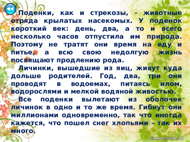  Поденки, как и стрекозы, - животные отряда крылатых насекомых. У поденок короткий век: день, два, а то и всего несколько часов отпустила им природа. Поэтому не тратят они время на еду и питье, а всю свою недолгую жизнь посвящают продлению рода.  Личинки, вышедшие из яиц, живут куда дольше родителей. Год, два, три они проводят в водоемах, питаясь илом, водорослями и мелкой водяной живостью.  Все поденки вылетают из оболочек личинок в одно и то же время. Гибнут они миллионами одновременно, так что иногда кажется, что пошел снег хлопьями - так их много. 