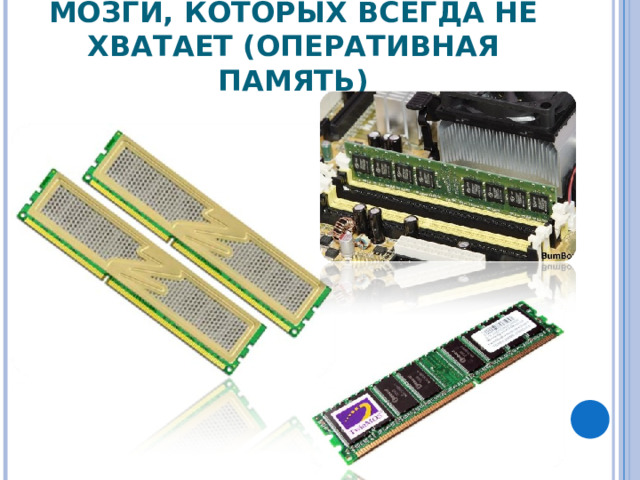МОЗГИ, КОТОРЫХ ВСЕГДА НЕ ХВАТАЕТ (ОПЕРАТИВНАЯ ПАМЯТЬ) 