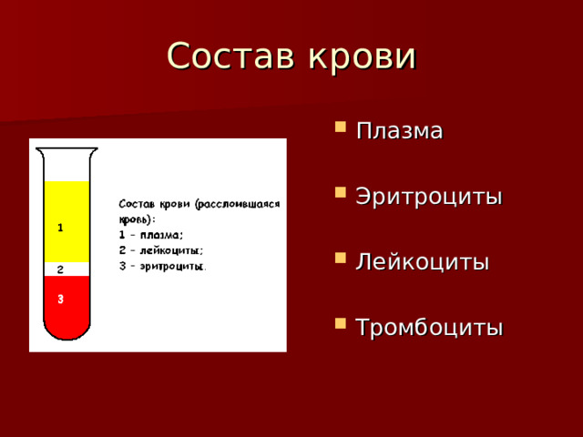 Состав крови Плазма  Эритроциты  Лейкоциты  Тромбоциты 