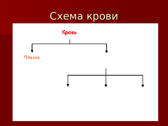 Схема крови 