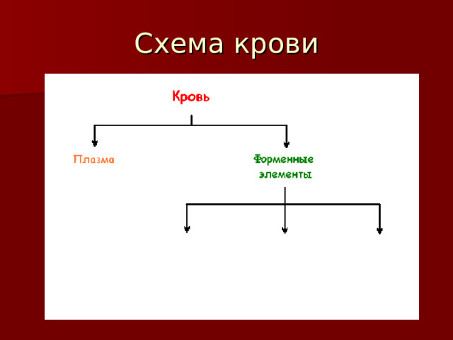 Схема крови 