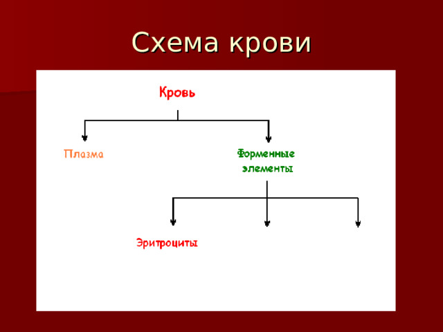Схема крови 