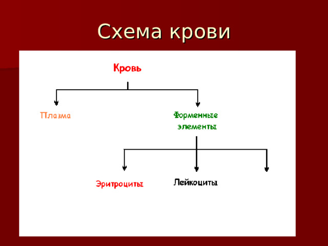 Схема крови 