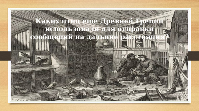 Каких птиц еще Древней Греции использовали для отправки сообщений на дальние расстояния? 
