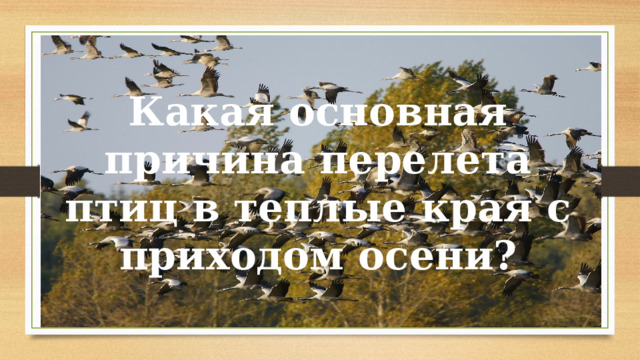 Какая основная причина перелета птиц в теплые края с приходом осени? 