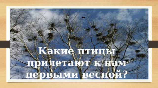 Какие птицы прилетают к нам первыми весной? 