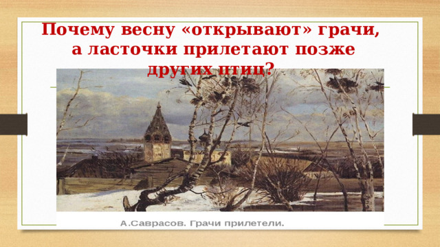 Почему весну «открывают» грачи,  а ласточки прилетают позже других птиц? 