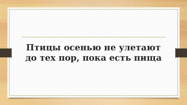 Птицы осенью не улетают до тех пор, пока есть пища 