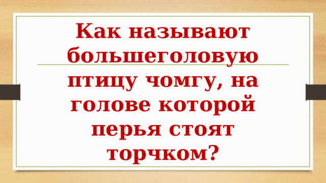 Как называют большеголовую птицу чомгу, на голове которой перья стоят торчком? 