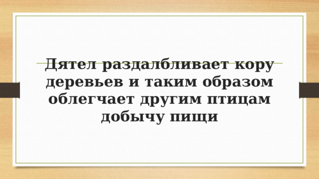 Дятел раздалбливает кору деревьев и таким образом облегчает другим птицам добычу пищи 