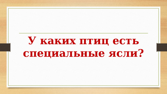 У каких птиц есть специальные ясли? 