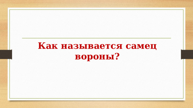 Как называется самец вороны? 